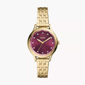 Fossil Laney BQ3905 Women’s Gold Stainless Steel Watch with Burgundy Crystal Dial | Quartz Analog